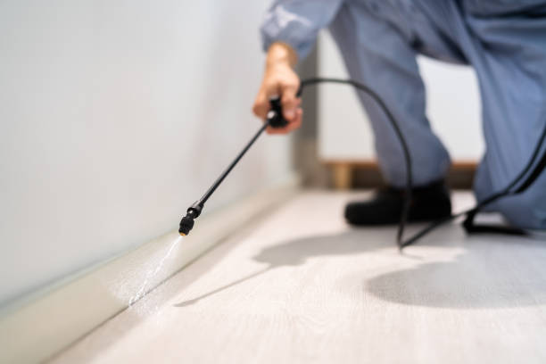 Licensed Mosquito Control service in Milwaukie, OR - Show Me Pest Control