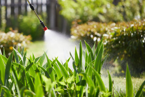 24/7 Emergency Mosquito Control experts in Milwaukie, OR