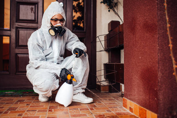 Reliable Mosquito Control contractor in Milwaukie, OR by Show Me Pest Control